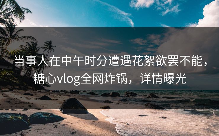 当事人在中午时分遭遇花絮欲罢不能，糖心vlog全网炸锅，详情曝光
